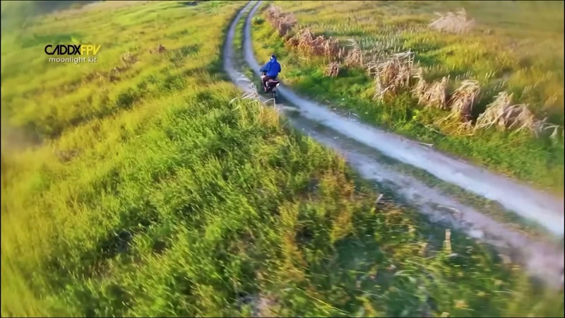 跟随追风骑士
